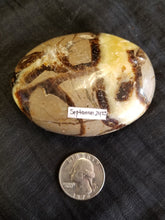 Load image into Gallery viewer, Septarian palm stone
